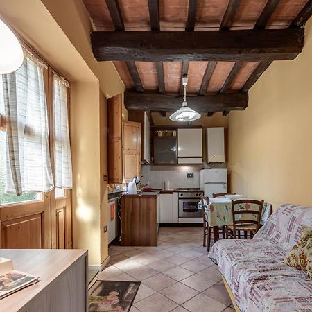 Agriturismo Il Ponte - Frantoio Vicchio Bagian luar foto