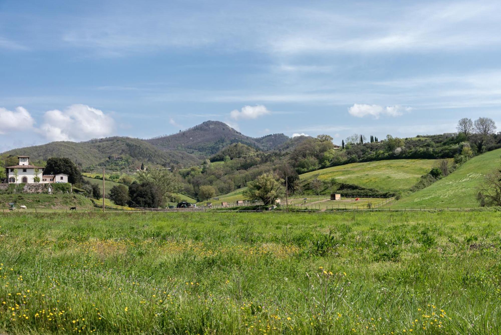 Agriturismo Il Ponte - Frantoio Vicchio Bagian luar foto