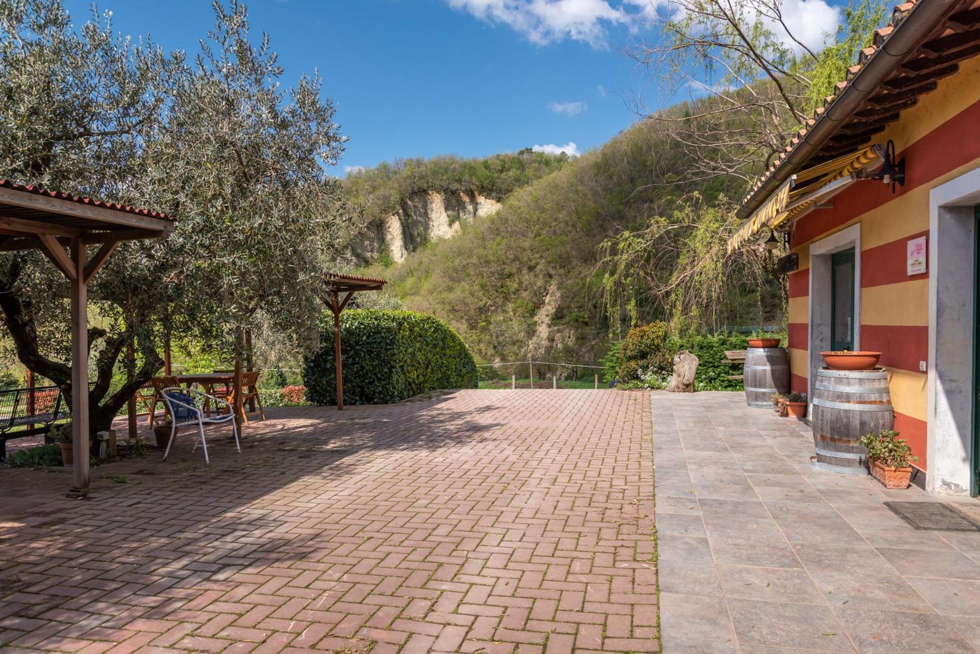Agriturismo Il Ponte - Frantoio Vicchio Bagian luar foto
