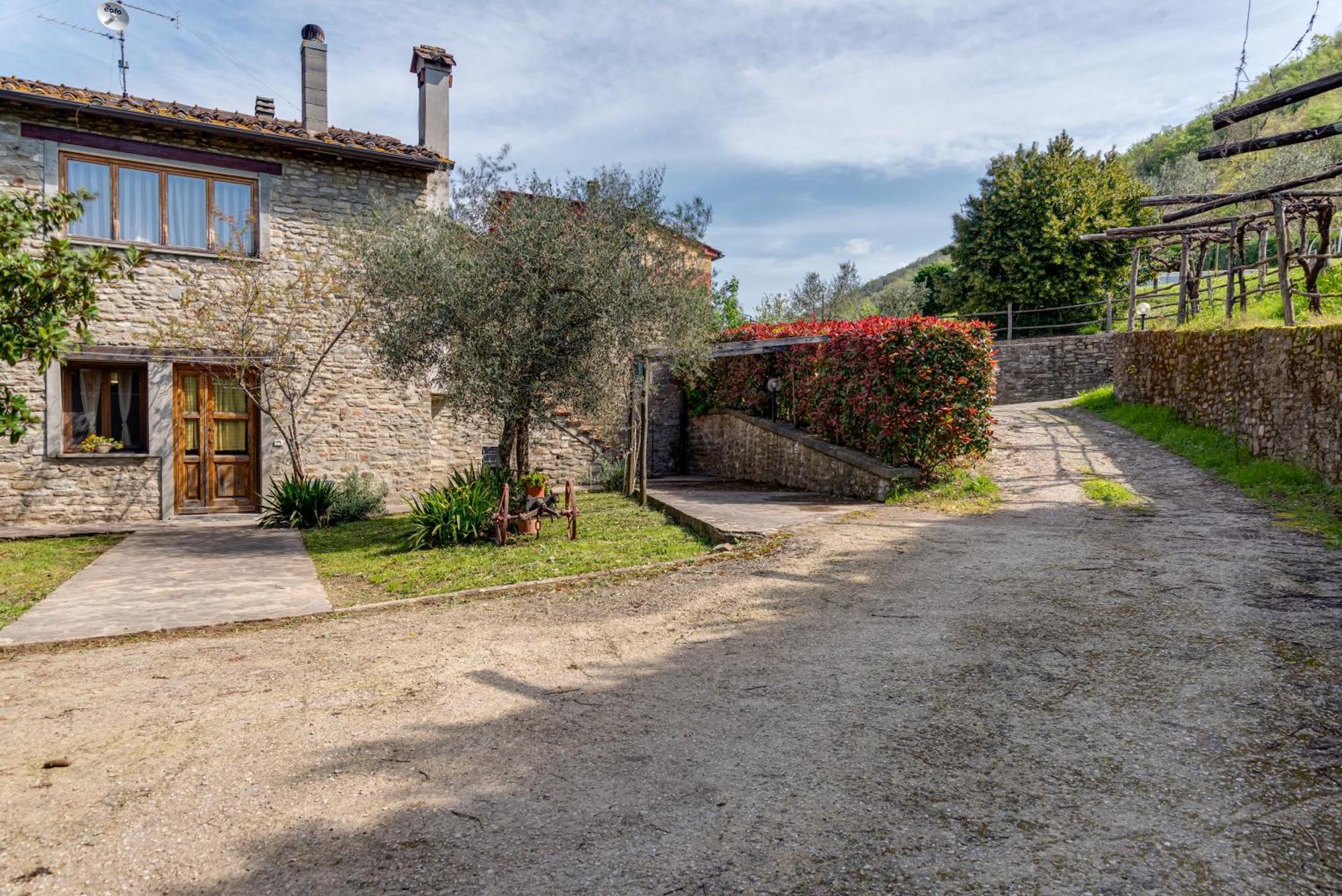 Agriturismo Il Ponte - Frantoio Vicchio Bagian luar foto